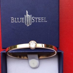 BLUE STEEL hinged bangle bracelet